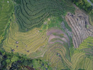  UNGARAN, İNDONEZYA 'DA YAZIZ VE LÜTÜN GÖREVLERİNİN GÖZEL GÖZLÜĞÜ