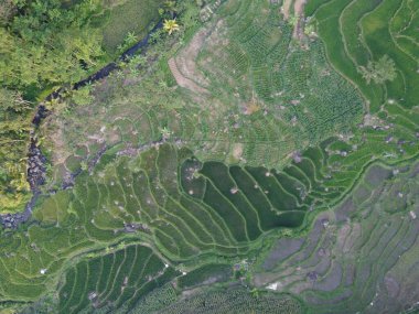  UNGARAN, İNDONEZYA 'DA YAZIZ VE LÜTÜN GÖREVLERİNİN GÖZEL GÖZLÜĞÜ