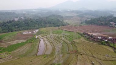 Orta Cava köyündeki tarımsal pirinç tarlalarının hava manzarası. Teraslı pirinç tarlaları gibi. Bali ASIA Endonezya.