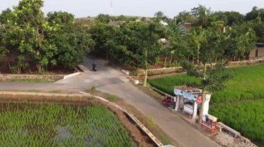 Orta Cava köyündeki tarımsal pirinç tarlalarının hava manzarası. Teraslı pirinç tarlaları gibi. Bali ASIA Endonezya.