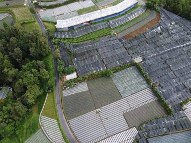 Nepal van Java, Hamlet, Magelang, Endonezya 'nın turistik bölgelerinde peyzaj, sebze çiftlikleri ve teraslı evler düzenlemelerinin güzelliği.