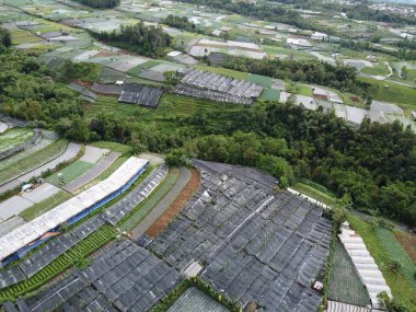 Nepal van Java, Hamlet, Magelang, Endonezya 'nın turistik bölgelerinde peyzaj, sebze çiftlikleri ve teraslı evler düzenlemelerinin güzelliği.