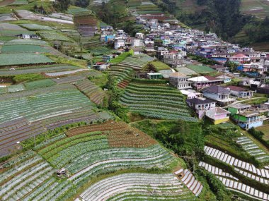 Nepal van Java, Hamlet, Magelang, Endonezya 'nın turistik bölgelerinde peyzaj, sebze çiftlikleri ve teraslı evler düzenlemelerinin güzelliği.