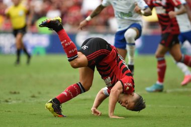 Rio de Janeiro, Brezilya, 12 Kasım 2022. Flamengo takımından futbolcu Diego Ribas, Flamengo x Ava maçı sırasında, Brezilya Şampiyonası için, Maracan Stadyumu 'nda.