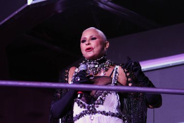 Rio de Janeiro, Brezilya, 11 Eylül 2022. Şarkıcı Fafa de Belem, Rio 2022, Rio de Janeiro 'da Rock' ta bir konser sırasında.