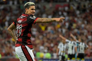 Rio de Janeiro, Brezilya, 25 Ekim 2022. Flamengo takımından futbolcu Pedro, Brezilya stadyumunda oynanan Flamengo x Santos maçında golünü kutluyor..