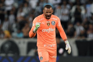 Rio de Janeiro, Brezilya, 3 Ekim 2022. Palmeiras takımının kalecisi Weverton, Botafogo x Palmeiras 'ın Brezilya şampiyonluğu maçında Engenhao Stadyumu' ndaki golünü kutluyor..