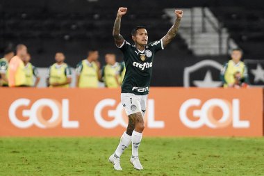 Rio de Janeiro, Brezilya, 3 Ekim 2022. Palmeiras takımının Dudu futbolcusu, Brezilya şampiyonası için Botafogo x Palmeiras maçında Engenho Stadyumu 'nda golünü kutlar..