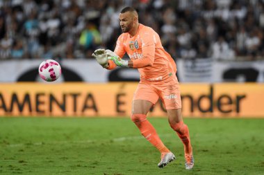 Rio de Janeiro, Brezilya, 3 Ekim 2022. Palmeiras takımının kalecisi Weverton, Botafogo x Palmeiras 'ın Brezilya şampiyonluğu maçında Engenhao Stadyumu' ndaki golünü kutluyor..