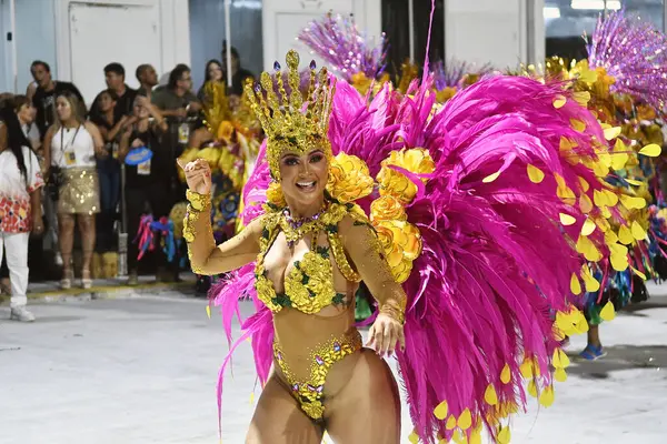 2023年2月26日 巴西里约热内卢 里约热内卢市狂欢节期间桑巴学校的游行 — 图库照片