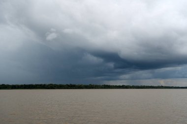 Amazon Nehri, Brezilya 'nın kuzey bölgesinde yer alır..