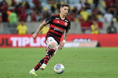 Rio de Janeiro, Brezilya, 17 Nisan 2024. 2024 Brezilya Şampiyonası için Flamengo X So Paulo ile Maracan Stadyumu 'nda oynanan maç..