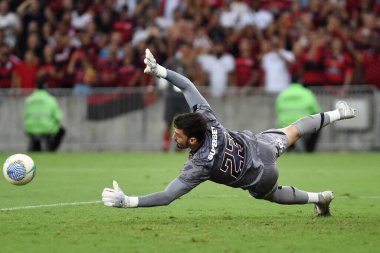 Rio de Janeiro, Brezilya, 17 Nisan 2024. 2024 Brezilya şampiyonası için, Flamengo X So Paulo ile Maracan Stadyumu 'ndaki So Paulo takım maçında kaleci Rafael.