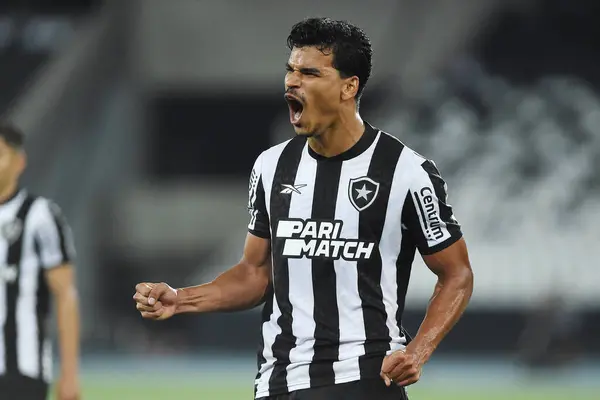 Rio Janeiro Brazilië April 2024 Botafogo Voetballer Danilo Tijdens Een Stockfoto