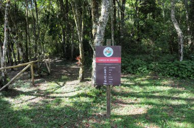 Rio de Janeiro, Brezilya, 3 Nisan 2024.Hike to Pico Cabea do Dragao in Tres Picos State Parkı. Rio de Janeiro eyaletinin Nova Friburgo şehrinin dağlık bölgesinde, Serra do Mar 'da yer almaktadır.