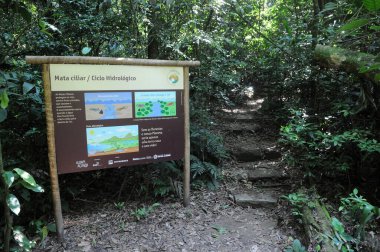 Rio de Janeiro, Brezilya, 4 Nisan 2024. Cachoeira de Macacu şehrindeki Jequitiba çekirdeğindeki Tres Picos Eyalet Parkı 'na ait bilgiler.