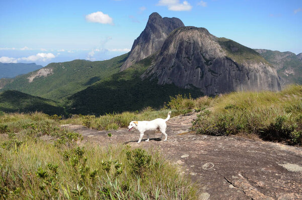 Tres Picos State Park.Located in the Serra do Mar, in the mountainous region of the city of Nova Friburgo, in the state of Rio de Janeiro