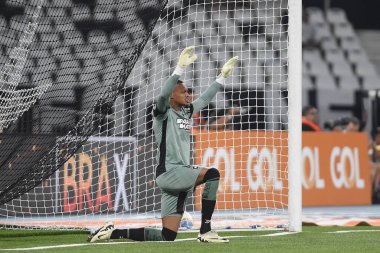 Rio de Janeiro, Brezilya, 18 Nisan 2024. Botafogo ile Fluminense arasındaki futbol maçı, Brezilya şampiyonluğu için, Nilton Santos Stadyumu 'nda.