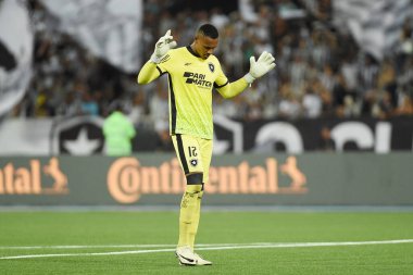 Rio de Janeiro, Brezilya, 2 Mayıs 2024. John Victor, Botafogo kalecisi, Vitria ile oynanan maçta, Copa do Brasil, Engenho Stadyumu 'nda.