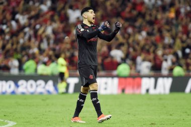 Rio de Janeiro, Brezilya, 13 Haziran 2024. Flamengo takımının kalecisi Rossi Grmio takımına karşı oynanan bir futbol maçında Maracan Stadyumu 'nda Brezilya şampiyonasında..
