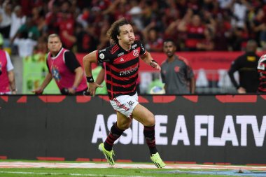 Rio de Janeiro, Brezilya, 20 Haziran 2024. Futbolcu David Luiz, Brezilya 'nın Maracan Stadyumu' nda oynanan ve Flamengo ile Bahia arasında oynanan futbol maçında golünü kutluyor..