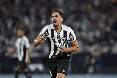 Rio de Janeiro, Brezilya, 26 Haziran 2024 Botafogo oyuncusu Eduardo, Brezilya Şampiyonası için Nilton Santos Stadyumu 'nda oynanan iç saha maçında golünü kutluyor..