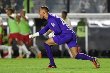 Rio de Janeiro, Brezilya, 3 Ağustos 2024. Sao Janurio Stadyumu 'nda oynanan Brezilya Şampiyonası maçında Vasco, Red Bull Bragantino' ya karşı.