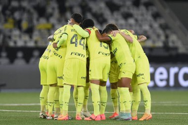 Rio de Janeiro, Brezilya, 14 Ağustos 2024. Copa Conmebol Libertadores adına Nilton Santos Stadyumu 'nda oynanan Botafogo x Palmeiras futbol maçı..