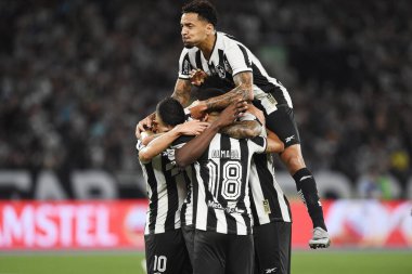 Rio de Janeiro, Brezilya, 14 Ağustos 2024. Copa Conmebol Libertadores adına Nilton Santos Stadyumu 'nda oynanan Botafogo x Palmeiras futbol maçı..