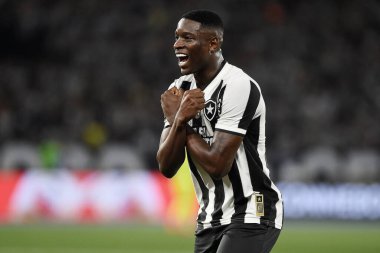 Rio de Janeiro, Brezilya, 14 Ağustos 2024. Copa Conmebol Libertadores adına Nilton Santos Stadyumu 'nda oynanan Botafogo x Palmeiras futbol maçı..