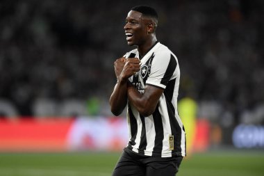 Rio de Janeiro, Brezilya, 14 Ağustos 2024. Copa Conmebol Libertadores adına Nilton Santos Stadyumu 'nda oynanan Botafogo x Palmeiras futbol maçı..