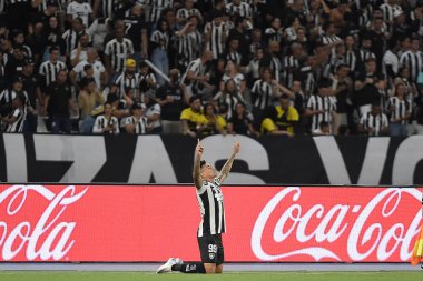 Rio de Janeiro, Brezilya, 14 Ağustos 2024. Copa Conmebol Libertadores adına Nilton Santos Stadyumu 'nda oynanan Botafogo x Palmeiras futbol maçı..