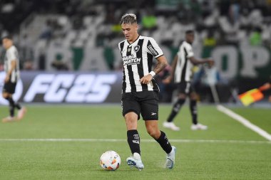 Rio de Janeiro, Brezilya, 14 Ağustos 2024. Copa Conmebol Libertadores adına Nilton Santos Stadyumu 'nda oynanan Botafogo x Palmeiras futbol maçı..