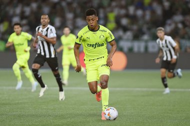 Rio de Janeiro, Brezilya, 14 Ağustos 2024. Copa Conmebol Libertadores adına Nilton Santos Stadyumu 'nda oynanan Botafogo x Palmeiras futbol maçı..