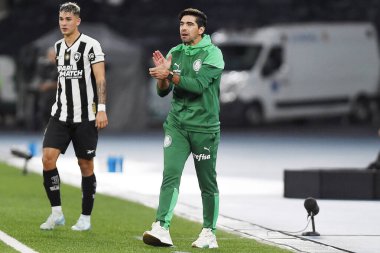 Rio de Janeiro, Brezilya, 14 Ağustos 2024. Copa Conmebol Libertadores adına Nilton Santos Stadyumu 'nda oynanan Botafogo x Palmeiras futbol maçı..