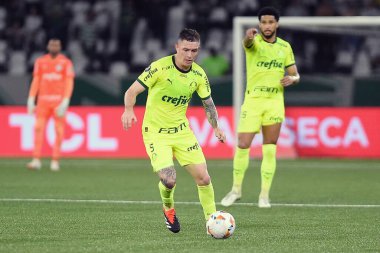 Rio de Janeiro, Brezilya, 14 Ağustos 2024. Copa Conmebol Libertadores adına Nilton Santos Stadyumu 'nda oynanan Botafogo x Palmeiras futbol maçı..