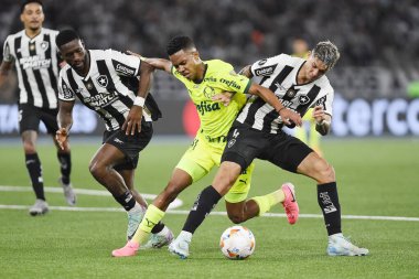 Rio de Janeiro, Brezilya, 14 Ağustos 2024. Copa Conmebol Libertadores adına Nilton Santos Stadyumu 'nda oynanan Botafogo x Palmeiras futbol maçı..
