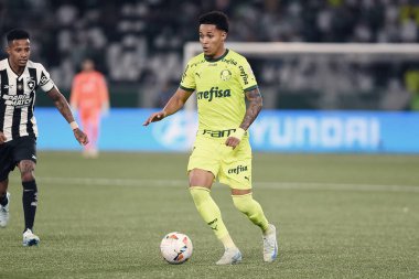 Rio de Janeiro, Brezilya, 14 Ağustos 2024. Copa Conmebol Libertadores adına Nilton Santos Stadyumu 'nda oynanan Botafogo x Palmeiras futbol maçı..