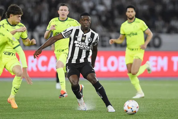 stock image Rio de Janeiro, Brazil, August 14, 2024. Botafogo x Palmeiras football match, for the Copa Conmebol Libertadores, at the Nilton Santos stadium.