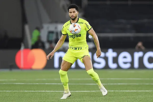 stock image Rio de Janeiro, Brazil, August 14, 2024. Botafogo x Palmeiras football match, for the Copa Conmebol Libertadores, at the Nilton Santos stadium.