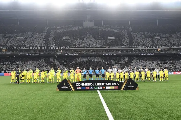 stock image Rio de Janeiro, Brazil, August 14, 2024. Botafogo x Palmeiras football match, for the Copa Conmebol Libertadores, at the Nilton Santos stadium.