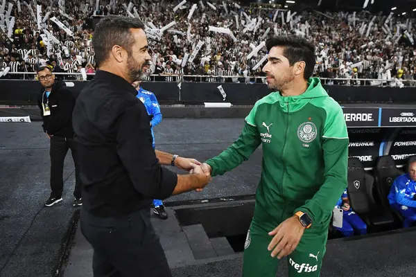 stock image Rio de Janeiro, Brazil, August 14, 2024. Botafogo x Palmeiras football match, for the Copa Conmebol Libertadores, at the Nilton Santos stadium.