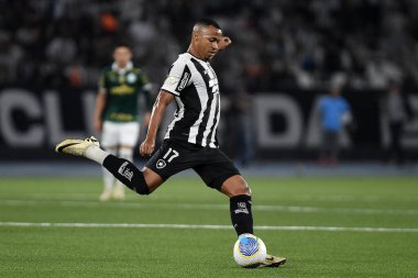 Rio de Janeiro, Brezilya, 17 Temmuz 2024. Botafogo ile Palmeiras arasındaki 2024 Brezilya Şampiyonası maçı, Nilton Santos Stadyumu 'nda yapıldı..