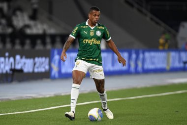 Rio de Janeiro, Brezilya, 17 Temmuz 2024. Botafogo ile Palmeiras arasındaki 2024 Brezilya Şampiyonası maçı, Nilton Santos Stadyumu 'nda yapıldı..