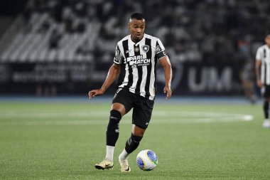 Rio de Janeiro, Brezilya, 17 Temmuz 2024. Botafogo ile Palmeiras arasındaki 2024 Brezilya Şampiyonası maçı, Nilton Santos Stadyumu 'nda yapıldı..