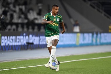 Rio de Janeiro, Brezilya, 17 Temmuz 2024. Botafogo ile Palmeiras arasındaki 2024 Brezilya Şampiyonası maçı, Nilton Santos Stadyumu 'nda yapıldı..