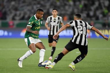 Rio de Janeiro, Brezilya, 17 Temmuz 2024. Botafogo ile Palmeiras arasındaki 2024 Brezilya Şampiyonası maçı, Nilton Santos Stadyumu 'nda yapıldı..