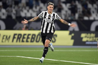 Rio de Janeiro, Brezilya, 18 Ağustos 2024. Botafogo ile Flamengo arasındaki futbol maçı, 2024 Brezilya Şampiyonası için, Nilton Santos Stadyumu 'nda.