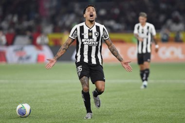 Rio de Janeiro, Brezilya, 18 Ağustos 2024. Botafogo ile Flamengo arasındaki futbol maçı, 2024 Brezilya Şampiyonası için, Nilton Santos Stadyumu 'nda.