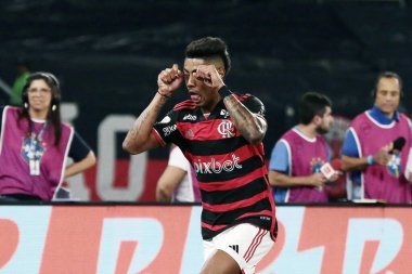Rio de Janeiro, Brezilya, 18 Ağustos 2024. Botafogo ile Flamengo arasındaki futbol maçı, 2024 Brezilya Şampiyonası için, Nilton Santos Stadyumu 'nda.
